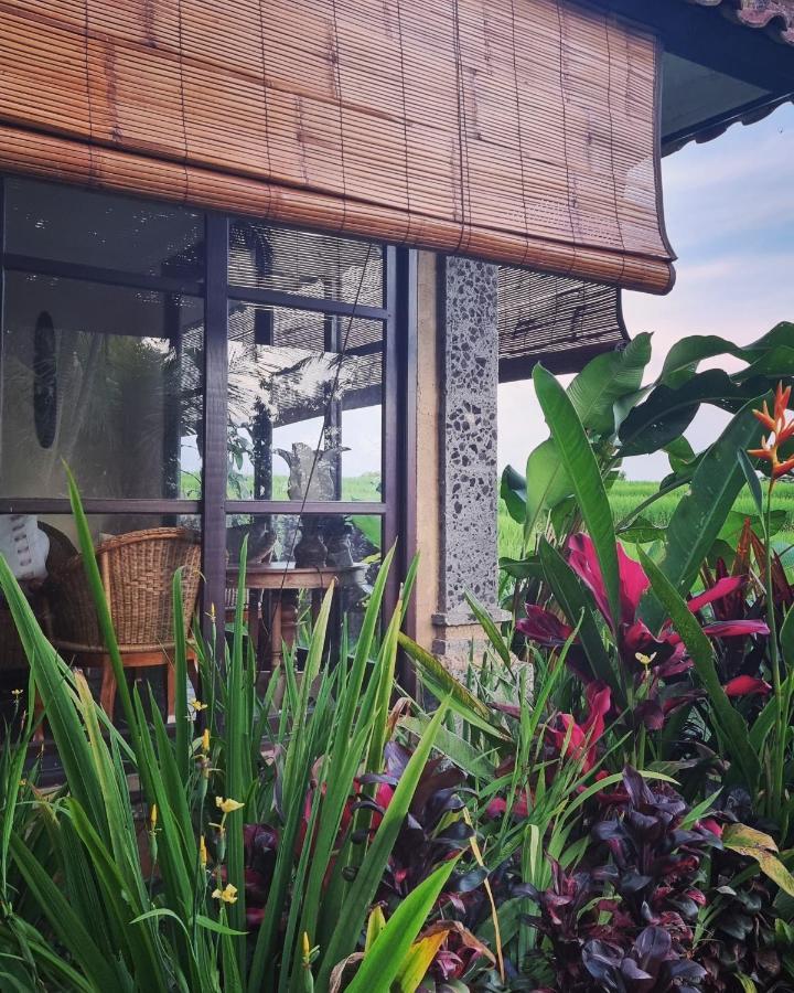 Sava Eco Retreat Hotel Padangan  Exterior photo