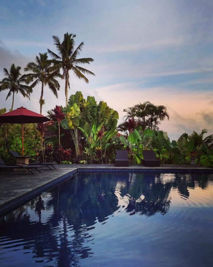 Sava Eco Retreat Hotel Padangan  Exterior photo