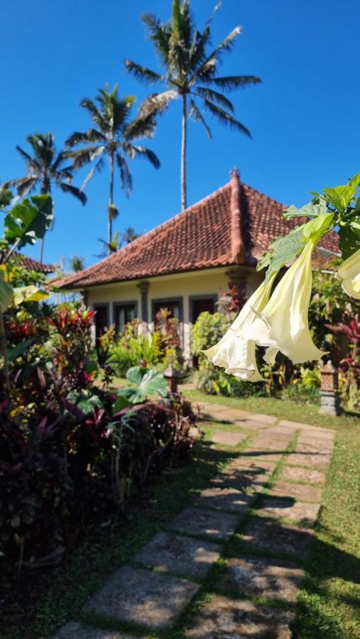 Sava Eco Retreat Hotel Padangan  Exterior photo