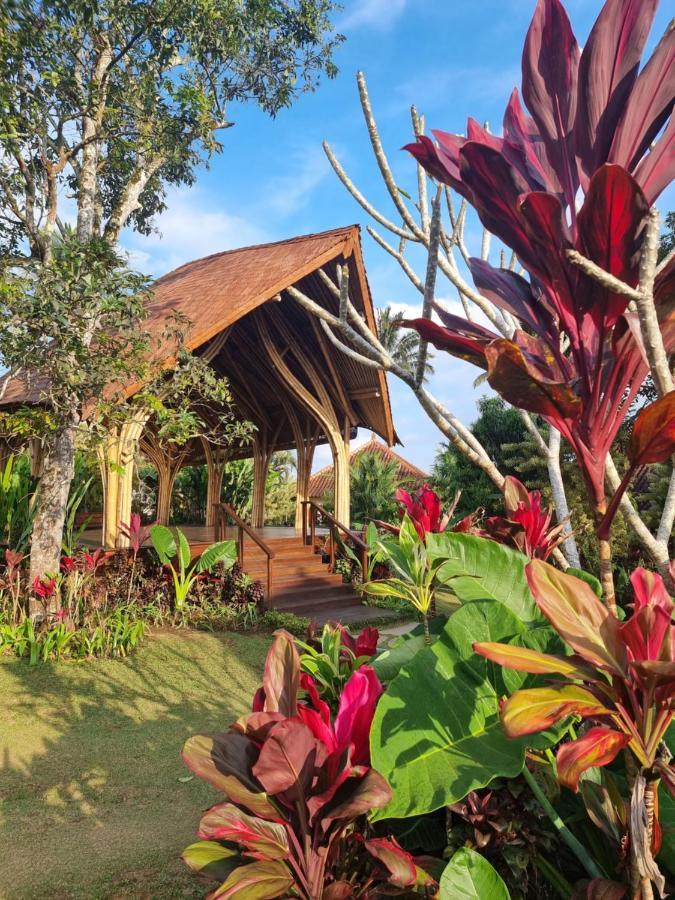 Sava Eco Retreat Hotel Padangan  Exterior photo